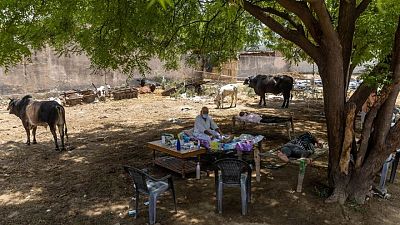 Under a tree, one Indian village cares for its COVID-19 sick