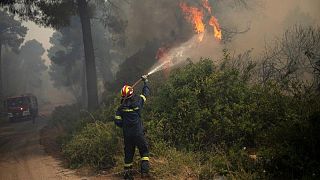 رجال الإطفاء يكافحون حرائق غابات بالقرب من أثينا