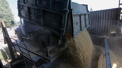 Existencias de granos de Ucrania alcanzan 9,5 million toneladas a comienzos de mayo Existencias de granos de Ucrania alcanzan 9,5 million toneladas a comienzos de mayo