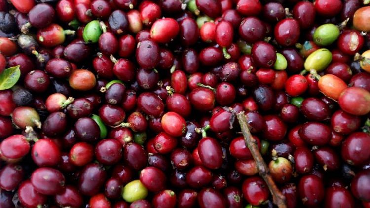 Importador de café estadounidense ve retrasos de hasta 5 semanas en cargamentos desde Colombia
