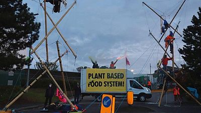 Grupos animalistas bloquean centros de distribución de McDonald's en Reino Unido Grupos animalistas bloquean centros de distribución de McDonald's en Reino Unido