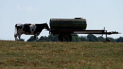 La UE está a punto de finalizar una gran reforma de su política agrícola La UE está a punto de finalizar una gran reforma de su política agrícola