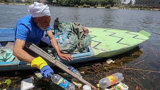 صيادون مصريون يزيلون الأكياس وقوارير البلاستيك من النيل ويتحصلون على دخل إضافي