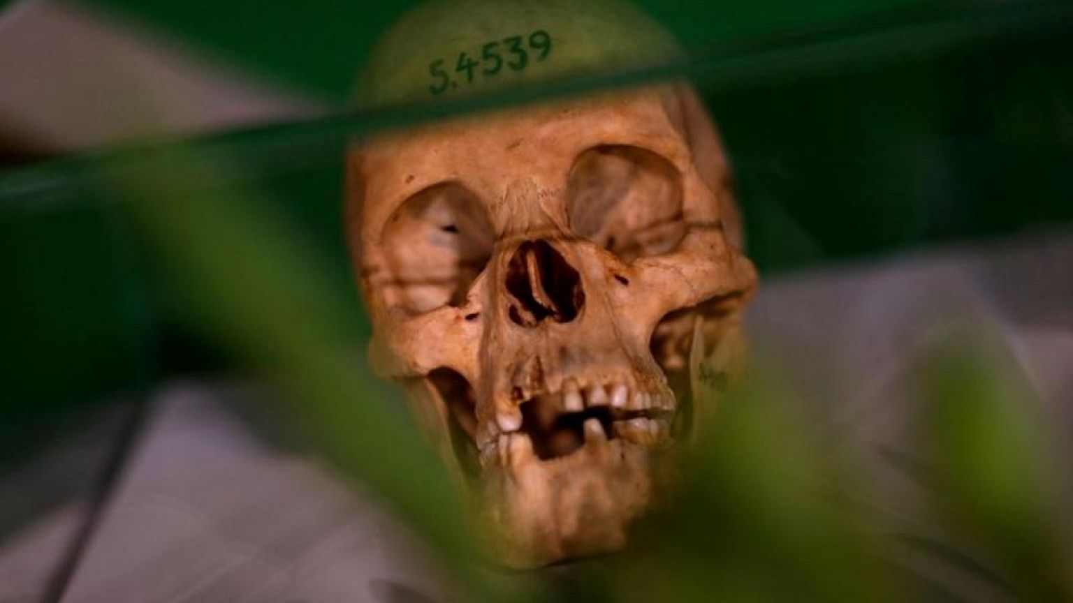 Germany colonial-era genocide reparations offer not enough – Namibia vice president