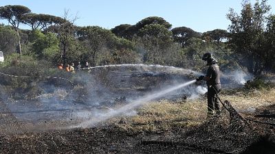 Vigili fuoco a lavoro anche con elicotteri. Disagi al traffico Vigili fuoco a lavoro anche con elicotteri. Disagi al traffico