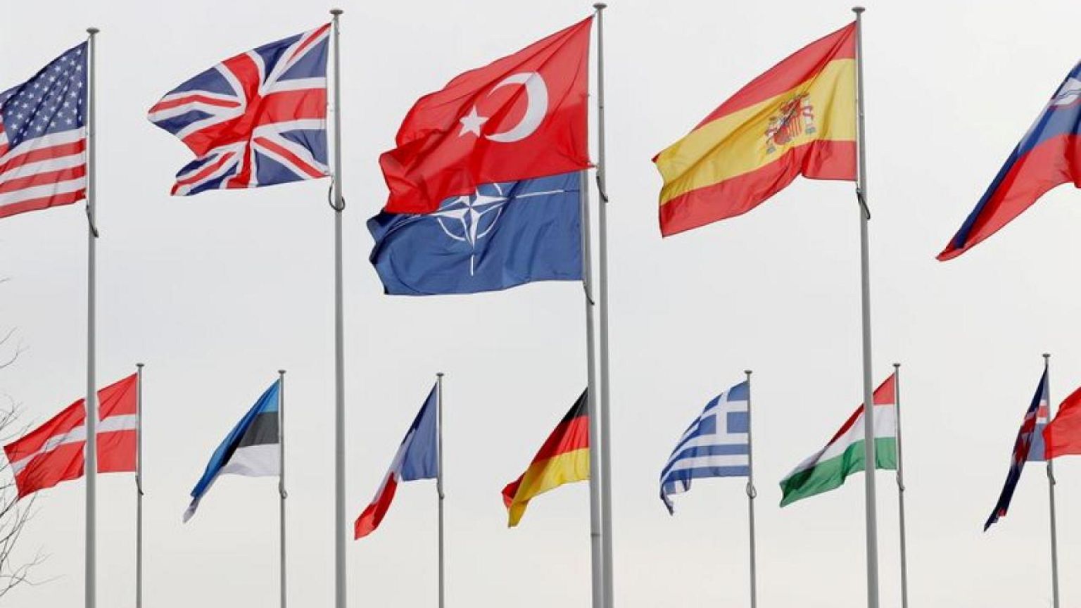 Exclusive: France resists more joint funding of 'brain dead' NATO
