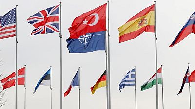 Exclusive: France resists more joint funding of 'brain dead' NATO Exclusive: France resists more joint funding of 'brain dead' NATO