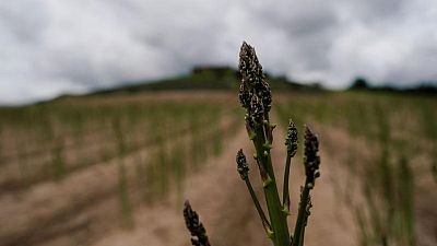 La UE interrumpe sin acuerdo las conversaciones sobre las reformas de los subsidios agrícolas La UE interrumpe sin acuerdo las conversaciones sobre las reformas de los subsidios agrícolas