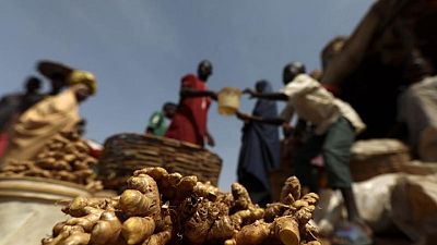 From Nigeria to Brazil 'halo' crops reap pandemic profits From Nigeria to Brazil 'halo' crops reap pandemic profits