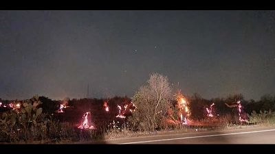 Coldiretti Puglia,400 richieste intervento Vigili fuoco a maggio Coldiretti Puglia,400 richieste intervento Vigili fuoco a maggio
