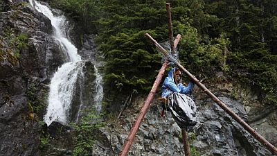 Save Fairy Creek: The battle over Western Canada's ancient forests Save Fairy Creek: The battle over Western Canada's ancient forests