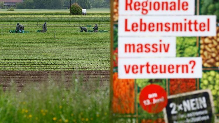 Swiss to vote on whether to become first European nation to ban synthetic pesticides