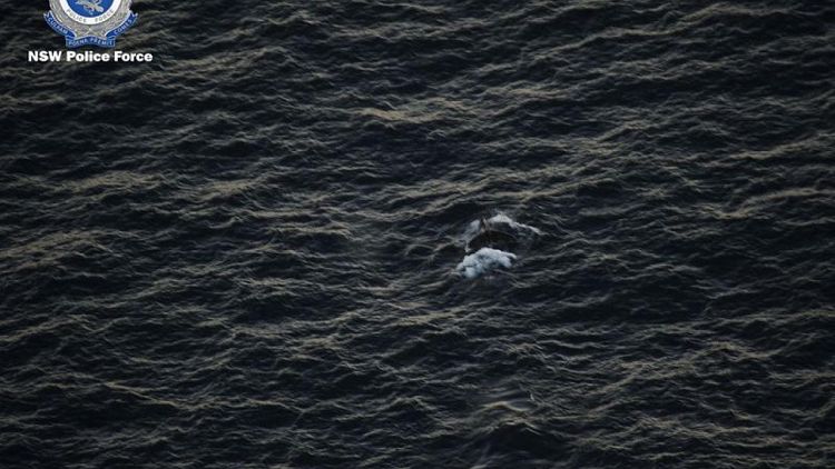 Australian police free entangled young whale off east coast