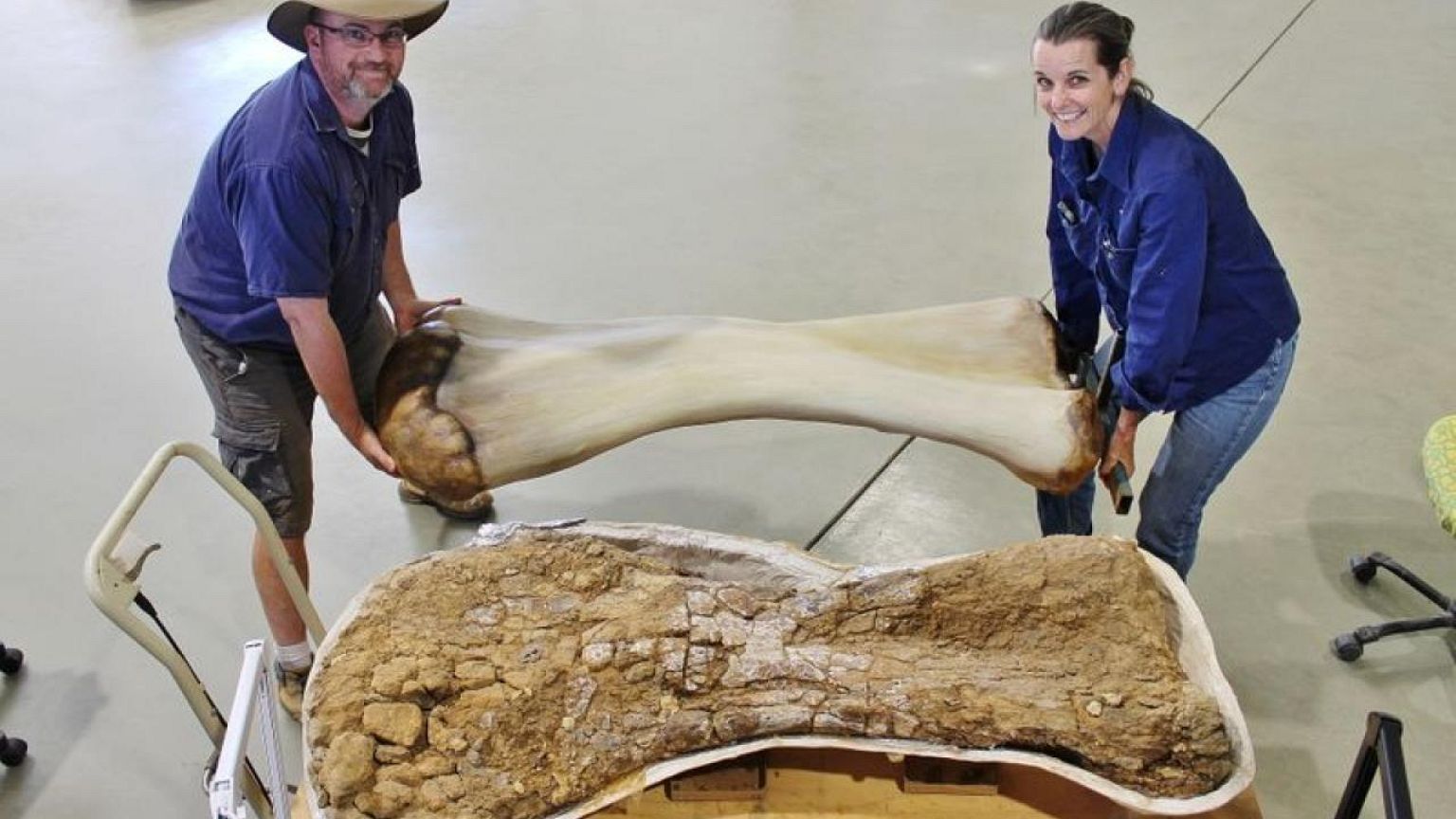 New dinosaur species discovered in Australia, one of world's biggest