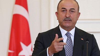 Turkey says ready to support Lithuania over migrants from Belarus