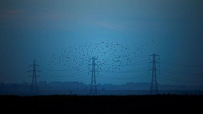 UK competition watchdog probing National Grid's $11 billion WPD deal UK competition watchdog probing National Grid's $11 billion WPD deal