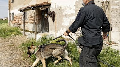 Si attende l'interrogatorio del cugino consegnato all'Italia Si attende l'interrogatorio del cugino consegnato all'Italia