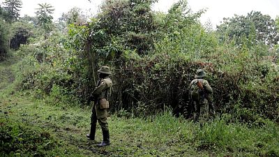 Congo detains alleged ivory trafficker blamed for killings of park rangers -statement Congo detains alleged ivory trafficker blamed for killings of park rangers -statement