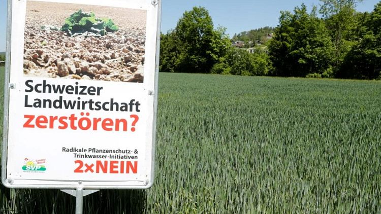 Swiss voters to decide on pesticides ban, terrorism law and COVID-19 aid