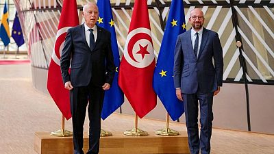 Tunisia President wants debate on new political system, constitutional amendment Tunisia President wants debate on new political system, constitutional amendment