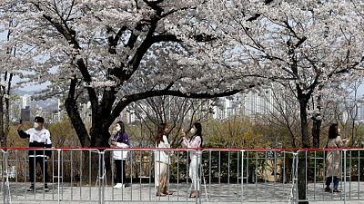 Watchdog says 'pervasive' digital sex crime affecting life for South Korean women, girls Watchdog says 'pervasive' digital sex crime affecting life for South Korean women, girls
