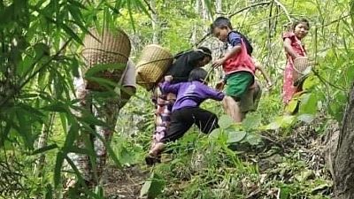 تجدد الحرب في ميانمار يدفع عشرات الآلاف للفرار إلى الغابات