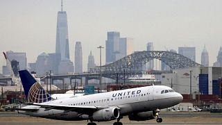 Sitios web de grandes aerolíneas de EEUU sufren caídas: Downdetector