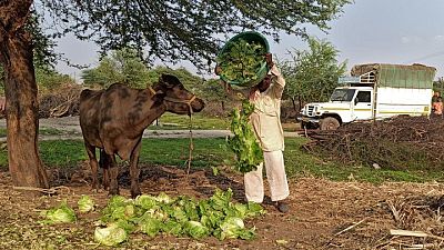 As COVID funeral pyres burn, India's rural economy goes up in smoke As COVID funeral pyres burn, India's rural economy goes up in smoke
