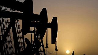 OPEP recibió pronóstico de crecimiento limitado en producción crudo EEUU, por ahora: fuentes