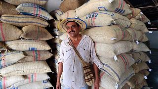 Tostadores de café EEUU buscan asegurarse suministros de Colombia, mientras precios suben