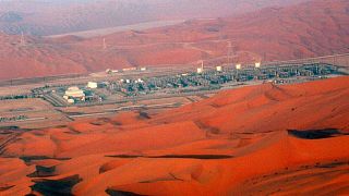 Ministro de Energía saudí rechaza oposición de Emiratos Árabes Unidos al acuerdo de OPEP+