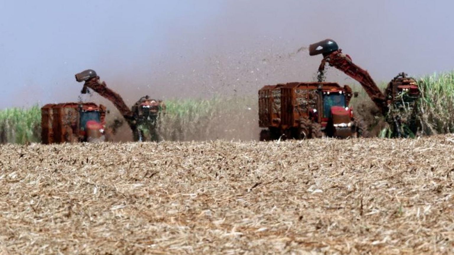 EEUU y Brasil limitarían la producción de etanol en los próximos meses