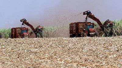 EEUU y Brasil limitarían la producción de etanol en los próximos meses EEUU y Brasil limitarían la producción de etanol en los próximos meses