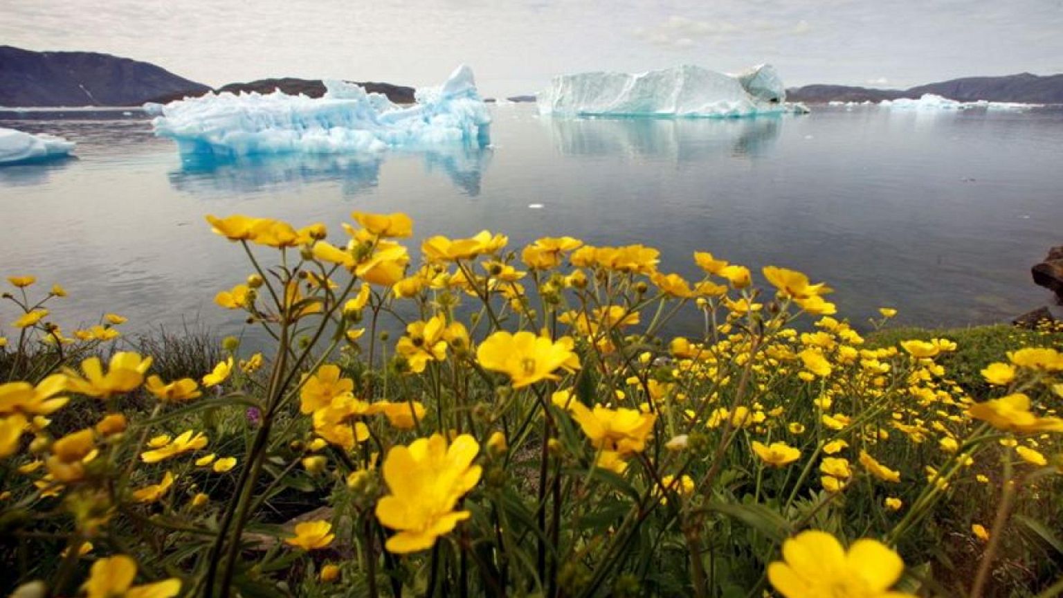 World Bank vows to keep board apprised of climate action progress