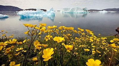 World Bank commits to annual reports on climate action plan World Bank commits to annual reports on climate action plan