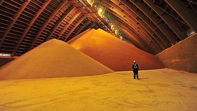 Potash partnership with BHP 'not our focus': Nutrien executive Potash partnership with BHP 'not our focus': Nutrien executive
