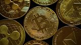 Third of major investment firms view cryptocurrency as 'rat poison', according to survey