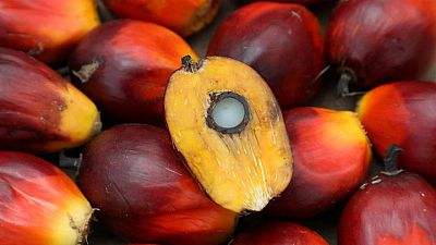 Malaysian palm giant IOI says to assist if U.S. probes alleged forced labour Malaysian palm giant IOI says to assist if U.S. probes alleged forced labour