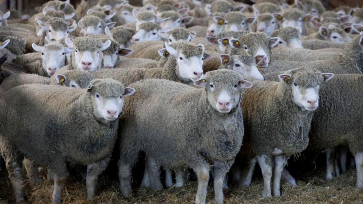 EU parliament committee approves farm subsidy reforms