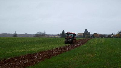 EU countries approve deal to overhaul farming subsidies EU countries approve deal to overhaul farming subsidies