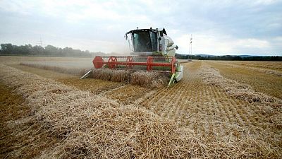 EU strikes deal on huge farm subsidies, ending three years of negotiations EU strikes deal on huge farm subsidies, ending three years of negotiations