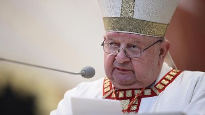 Segretario Giovanni Paolo II, grato a S.Sede, denunce immeritate