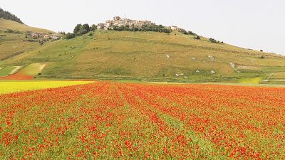 Chiudere strada altro colpo per economia dopo terremoto e covid Chiudere strada altro colpo per economia dopo terremoto e covid
