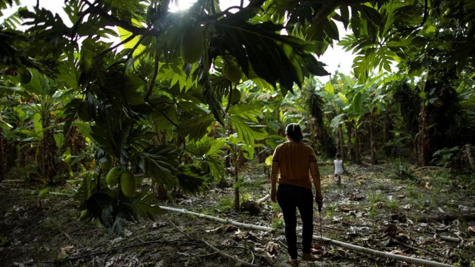 Separated from her daughters in U.S., Honduran mom parents from her smartphone