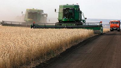 Precios de exportación del trigo ruso, sin grandes cambios de cara a la nueva temporada Precios de exportación del trigo ruso, sin grandes cambios de cara a la nueva temporada