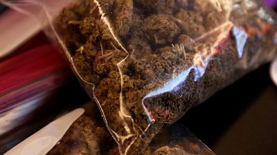 Senegal records second large cannabis seizure in a month Senegal records second large cannabis seizure in a month