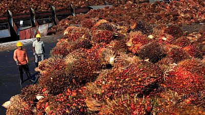 Malaysian palm giant IOI faces labour abuse allegations in new report Malaysian palm giant IOI faces labour abuse allegations in new report