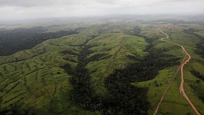 Brasil prohíbe las fogatas y destina militares para proteger la selva amazónica Brasil prohíbe las fogatas y destina militares para proteger la selva amazónica