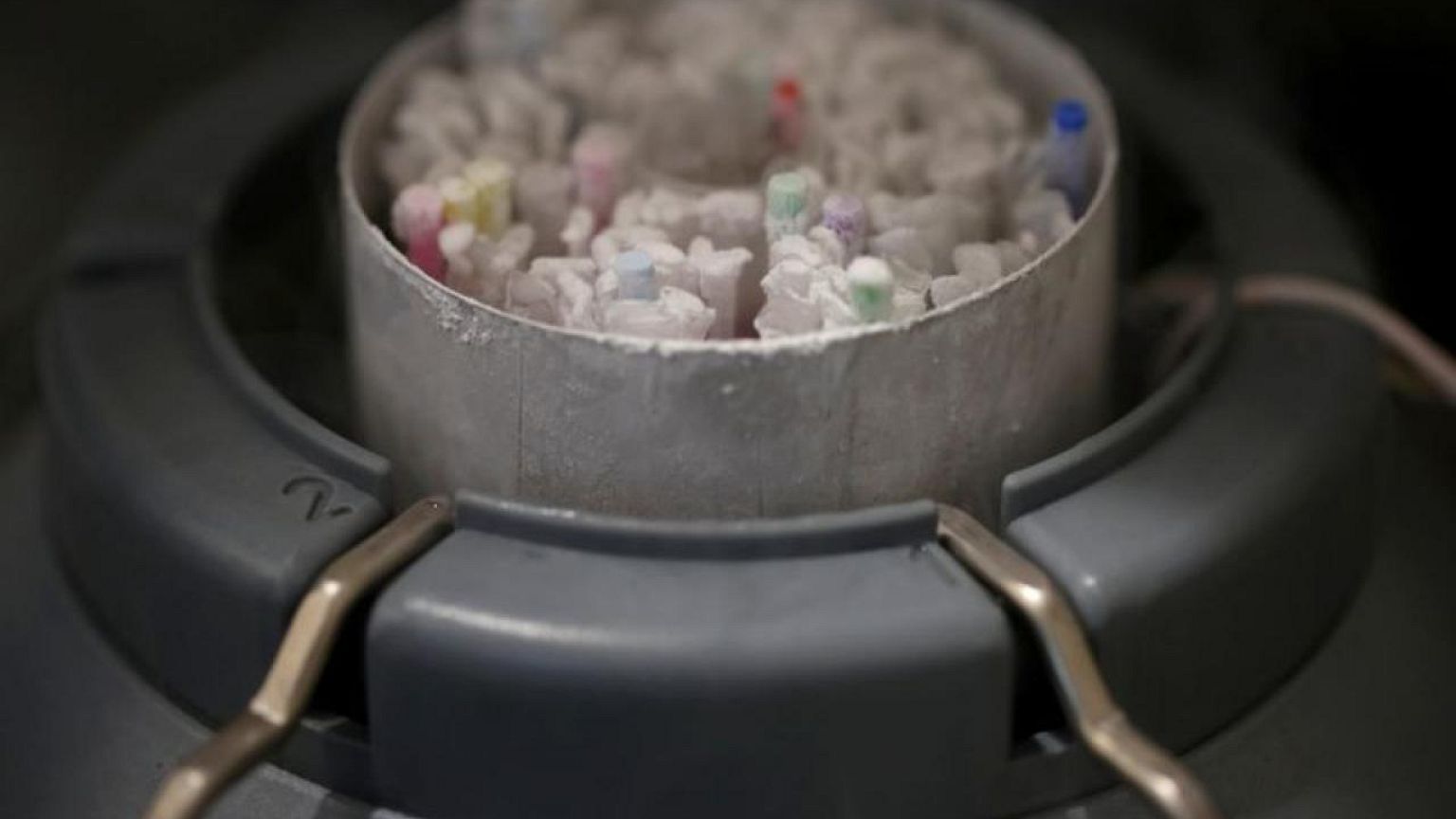 Francia permite fecundación in vitro para mujeres solteras y lesbianas