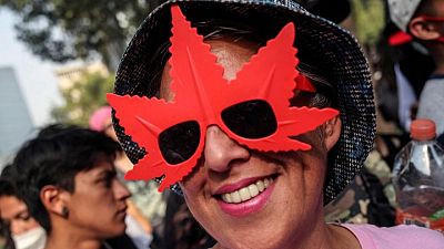 Mexico president floats referendum option on recreational marijuana after court says to legalize Mexico president floats referendum option on recreational marijuana after court says to legalize